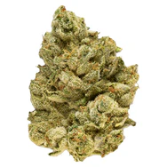 BROKEN COAST EMERGENZ