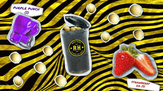 ROSIN HEADSHASH ROSIN 10 INDICA V225PC